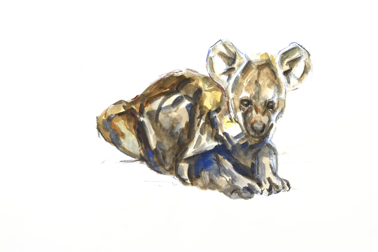 Štěně hyeny, 2020 (akvarel, pastel a kvaš na papíře) od David Mayer