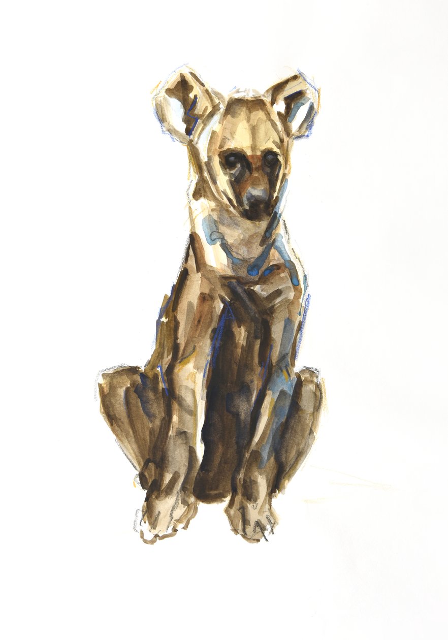 Štěně hyeny, 2020 (akvarel, pastel a kvaš na papíře) od David Mayer