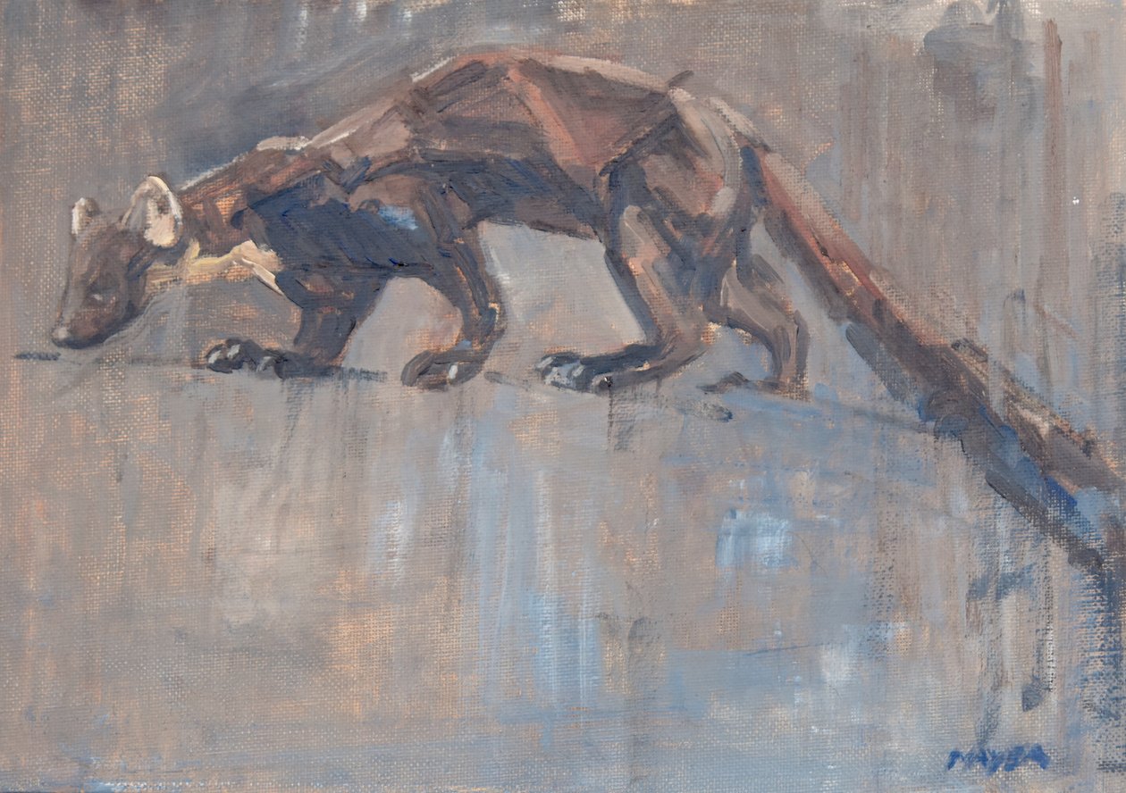 Pine Marten, 2023 (olej na plátně) od David Mayer