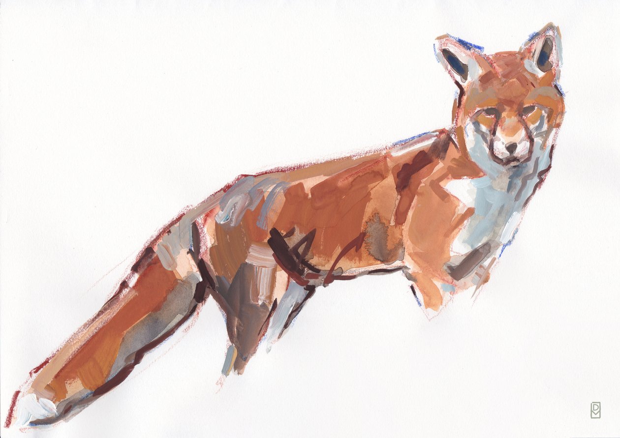 Red Fox, 2021 (kvaš a akvarel/pastel na papíře) od David Mayer