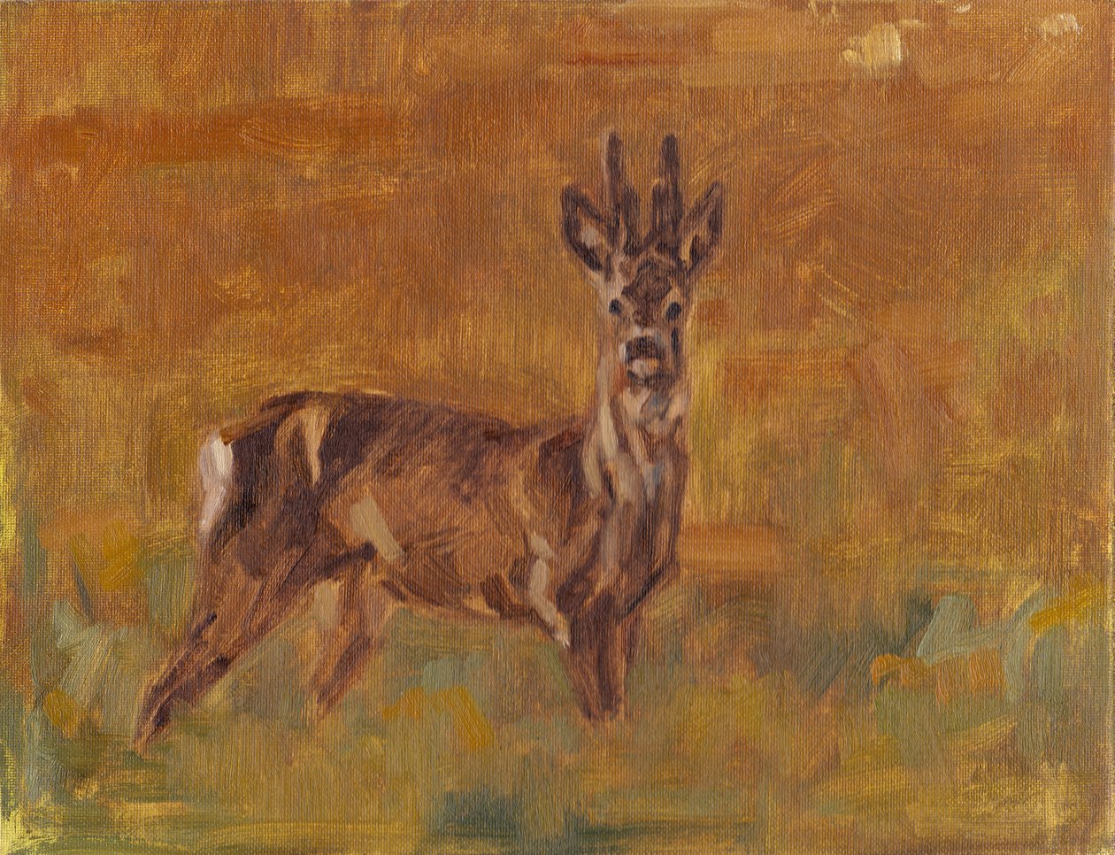 Roe Buck, 2021 od David Mayer