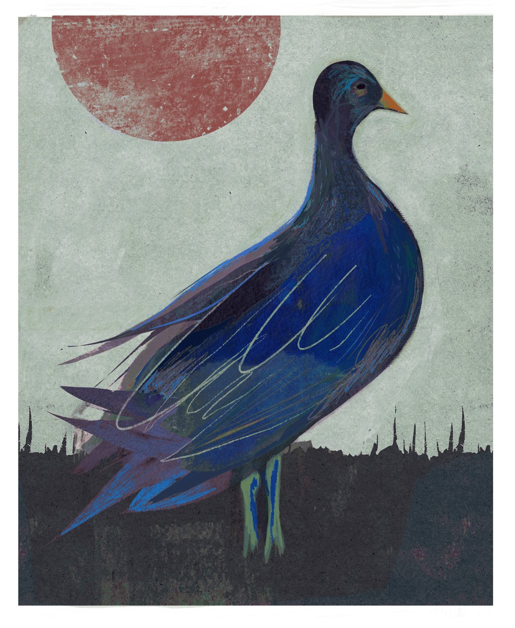 Pigeon Blues, 2023 (kombinovaná technika) od David McConochie