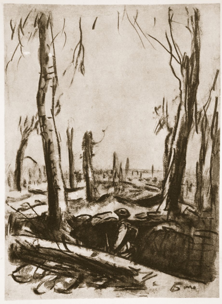 Zničené zákopy v Mametz Wood, ilustrace z knihy "The Western Front", vydavatelství Country Life Ltd. od David Muirhead Bone