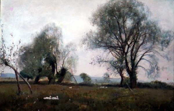 Dole na vodních loukách od David Murray