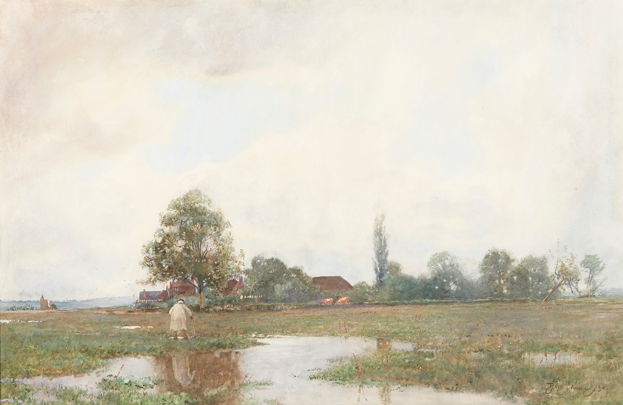 Přes vodní louku (akvarel) od David Murray