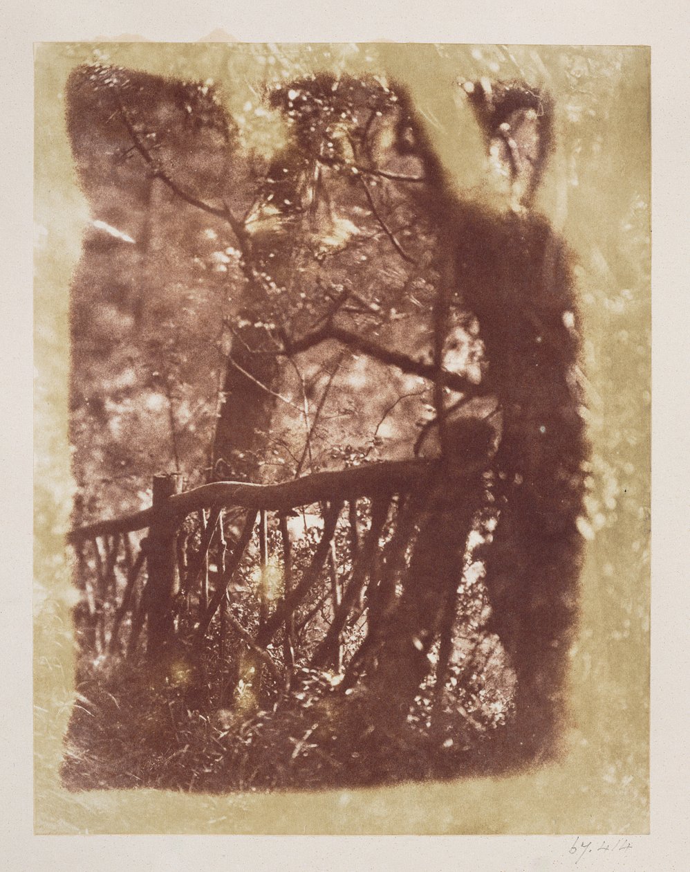 Plot a stromy v Colinton Wood (tisk ze slaného papíru z kalotypového negativu) od David Octavius Hill