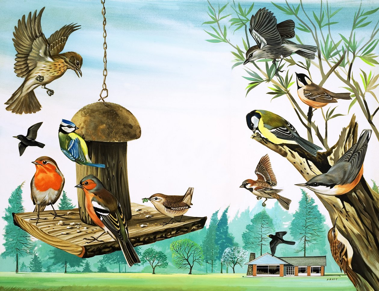 Všichni ptáci kolem zahradního stolu, ilustrace z filmu "Bylo nebylo od David Pratt