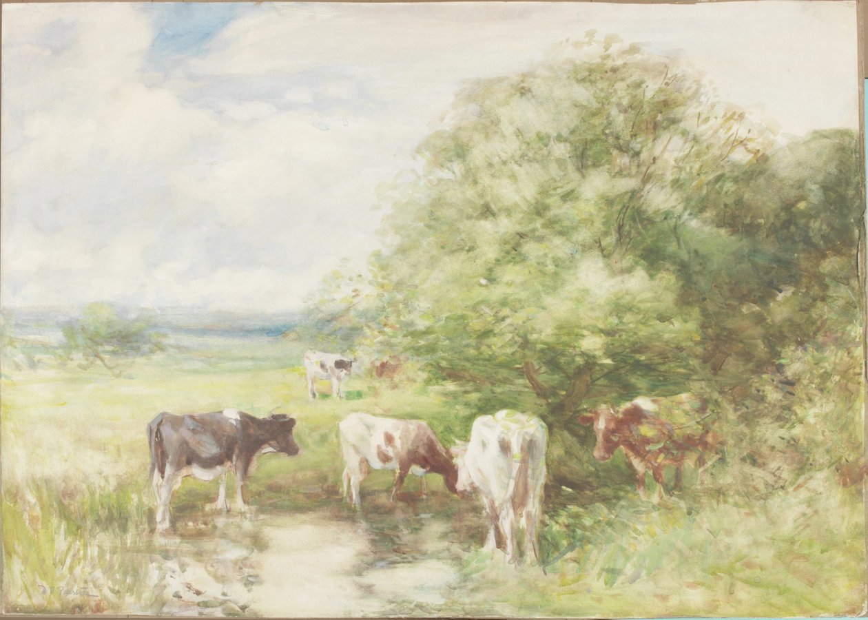 The Shady Pool (akvarel na papíře na kartě) od David T. Robertson