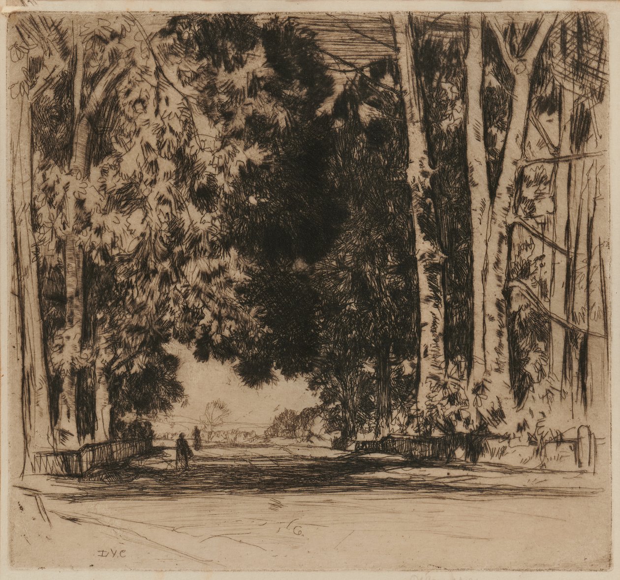 Avenue od David Young Cameron