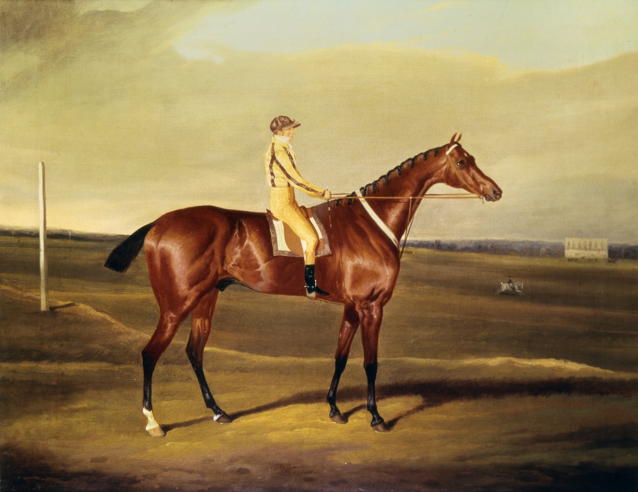 The Hon. Robert Grosvenors Tawpy od David of York Dalby