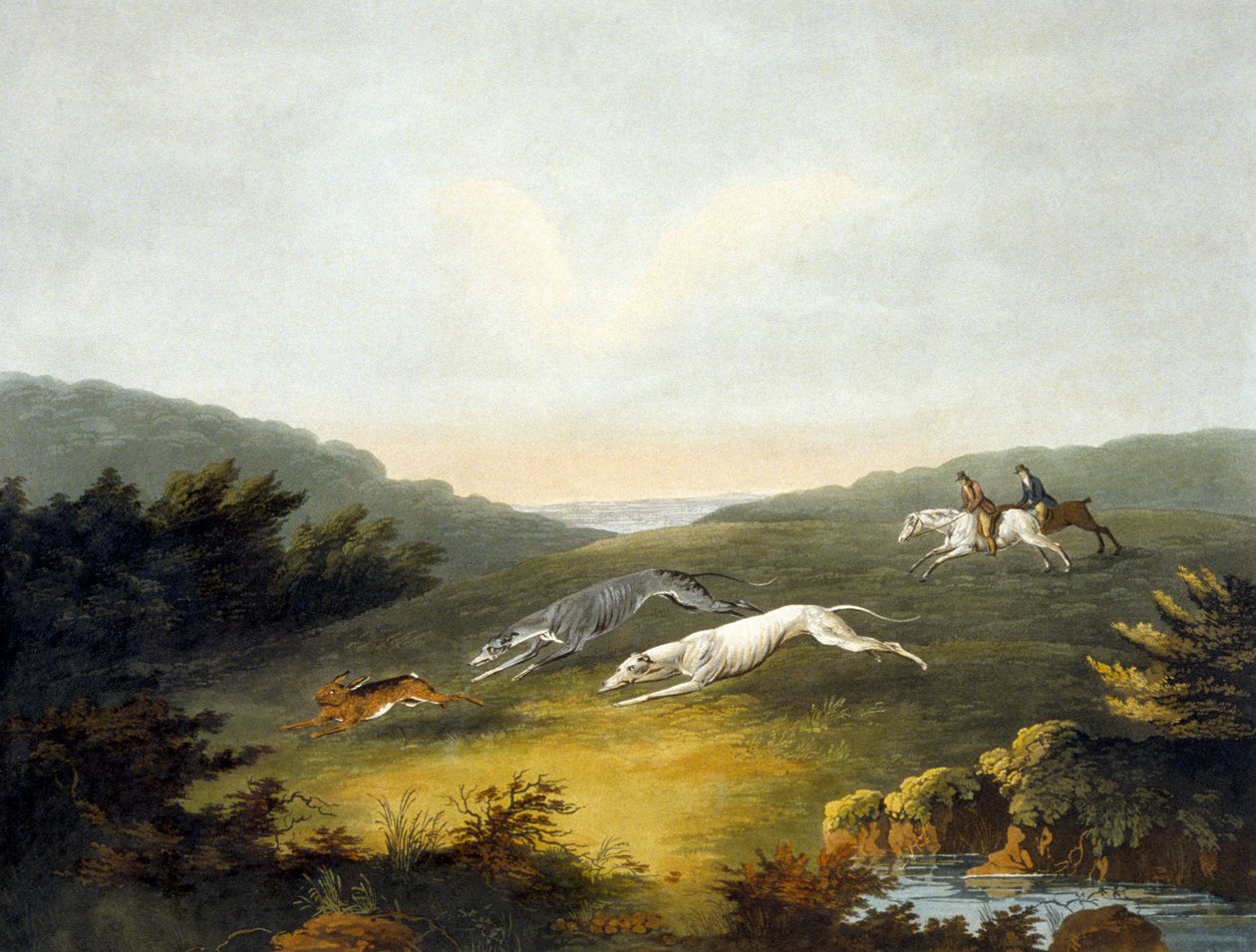 Coursing, deska 2, ryl R.G. Rychtář od Dean Snr. (after) Wolstenholme