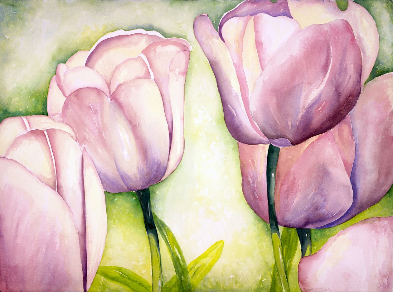 Levandulové tulipány, 2006 (akvarel) od Deborah Eve Alastra