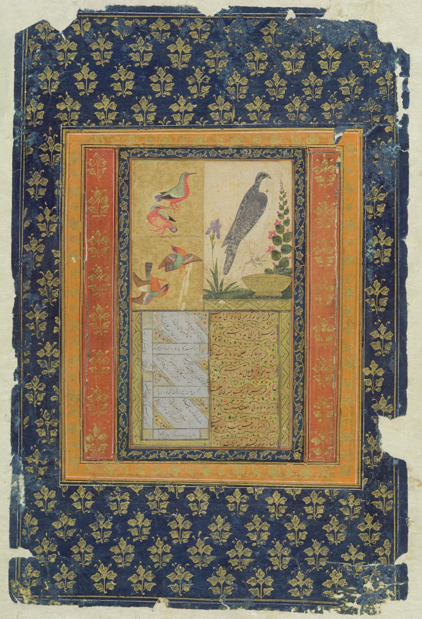 Studium ptáků a kaligrafie, Golconda, Andhra Pradesh, 1570, (kvaš, inkoust a zlato na papíře se zdobeným okrajem) od Deccani School