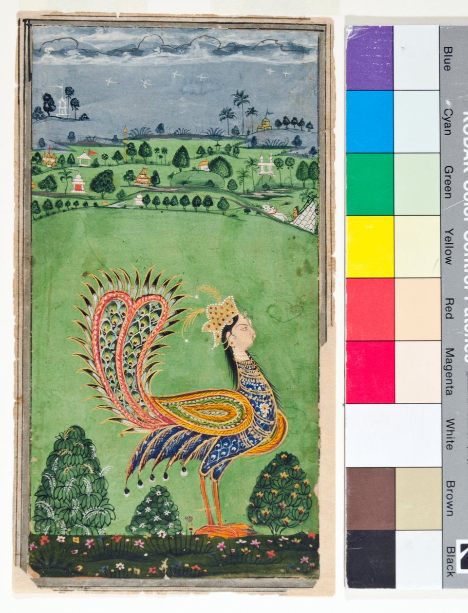 Mýtický páv s ženskou hlavou, cca 1750 (neprůhledné w/c a zlato na papíře) od Deccani School