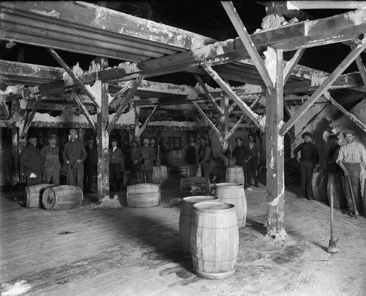 Del Ray Salt Co., kolem 1900-20 od Detroit Publishing Co.