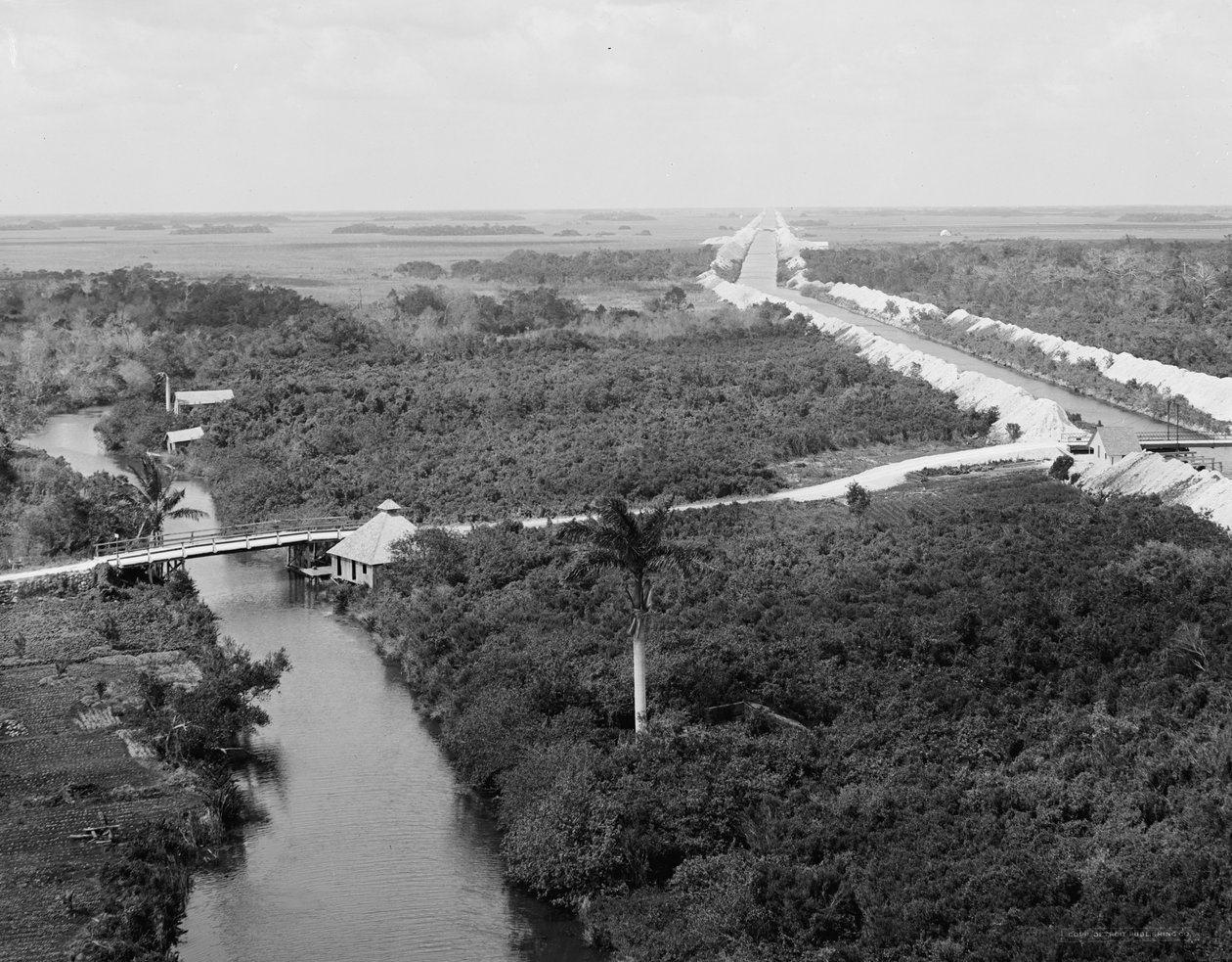 Drenážní kanál a Everglades, Miami, Florida, c.1910-20 od Detroit Publishing Co.
