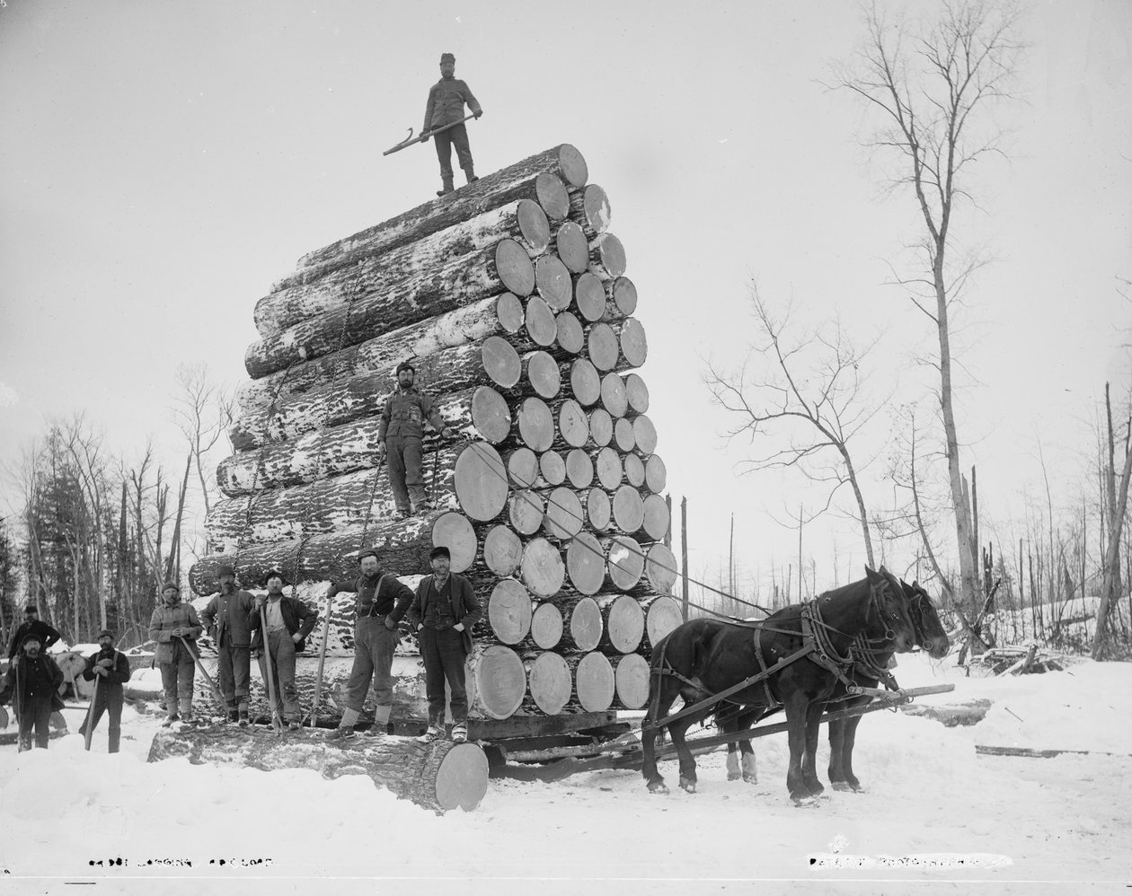 Těžba velkého nákladu, Michigan, kolem 1880-99 od Detroit Publishing Co.