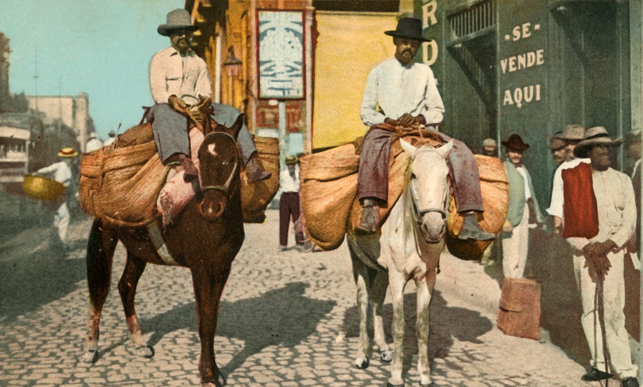 Vegetable Men, Havana, Kuba, 1904. od Detroit Photographic Company