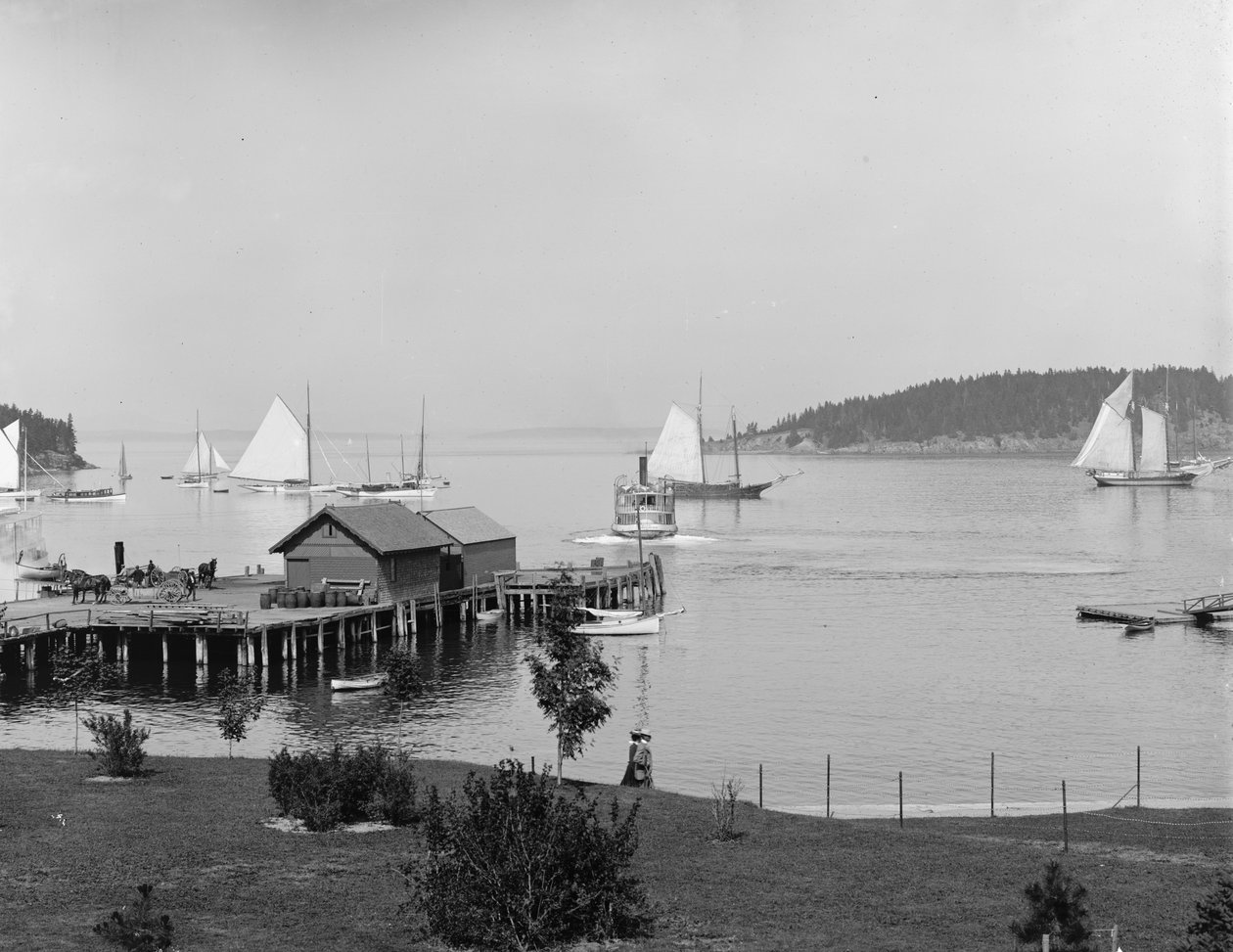 Bar Harbor, Mt. Desert Island, Maine, přístav z Newport House, kolem roku 1901 od Detroit Publishing Co.