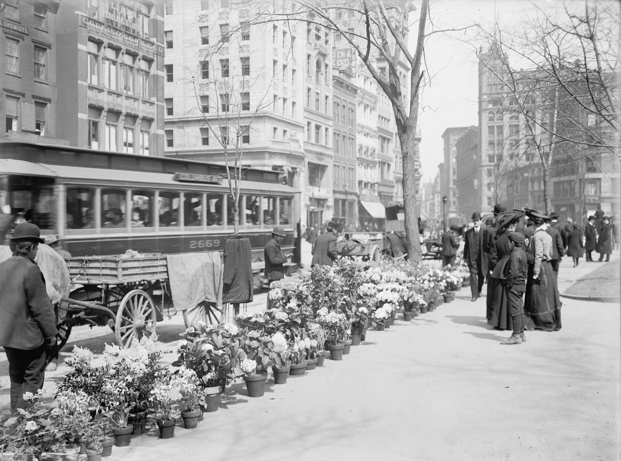 Prodejci květin, Easter Display, New York City, USA, kolem roku 1904 od Detroit Publishing Co.