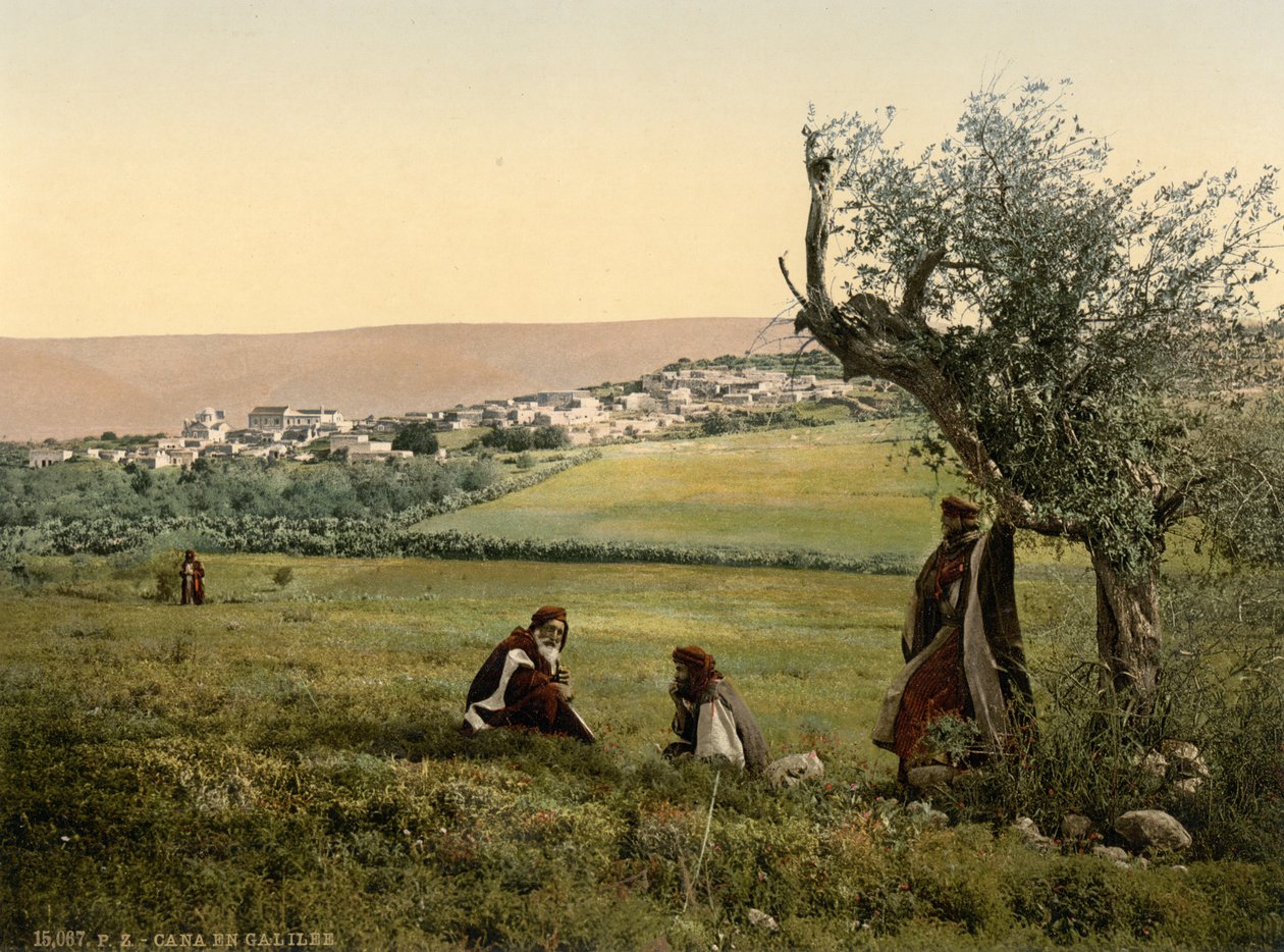 Celkový pohled, Kána Galilejská, Svatá země, asi 1890-1900 (fotochromový tisk) od Detroit Publishing Co.