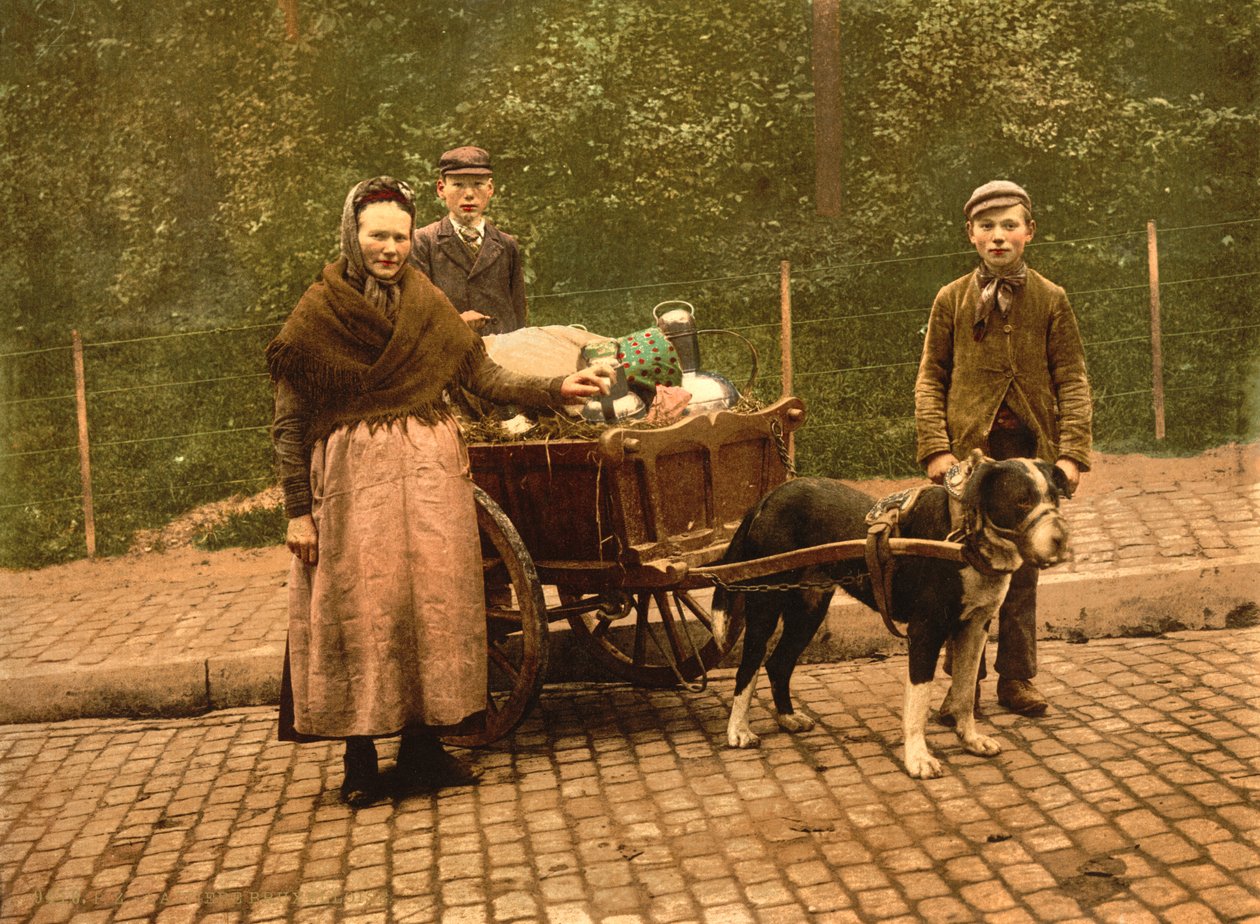 Prodejci mléka, Brusel, Belgie, kolem roku 1900 od Detroit Publishing Co.