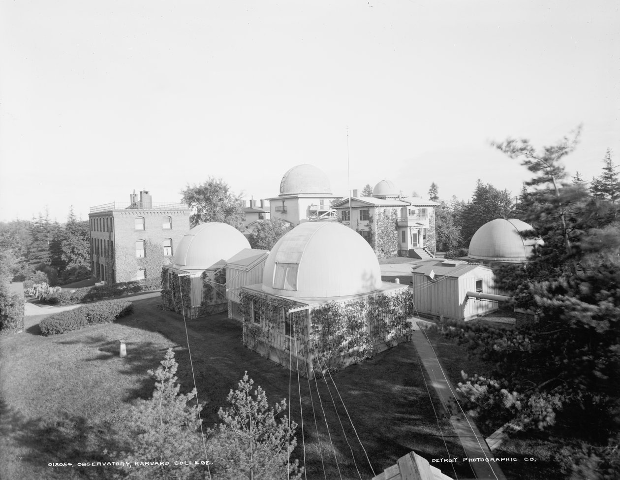 Observatoř, Harvard College, cca 1900 (černobílá fotografie) od Detroit Publishing Co.