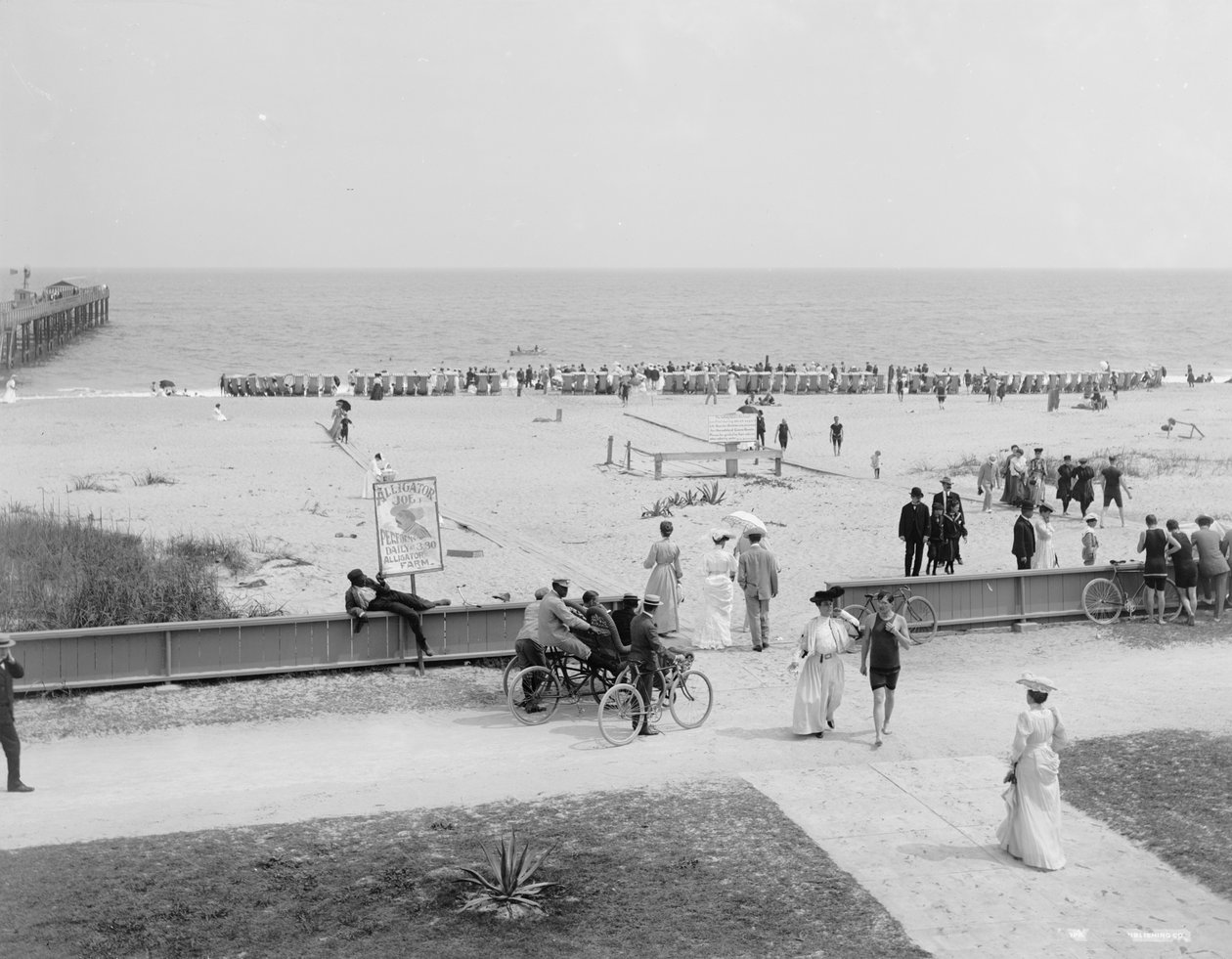 Palm Beach, Florida, cca 1905 (černobílá fotografie) od Detroit Publishing Co.