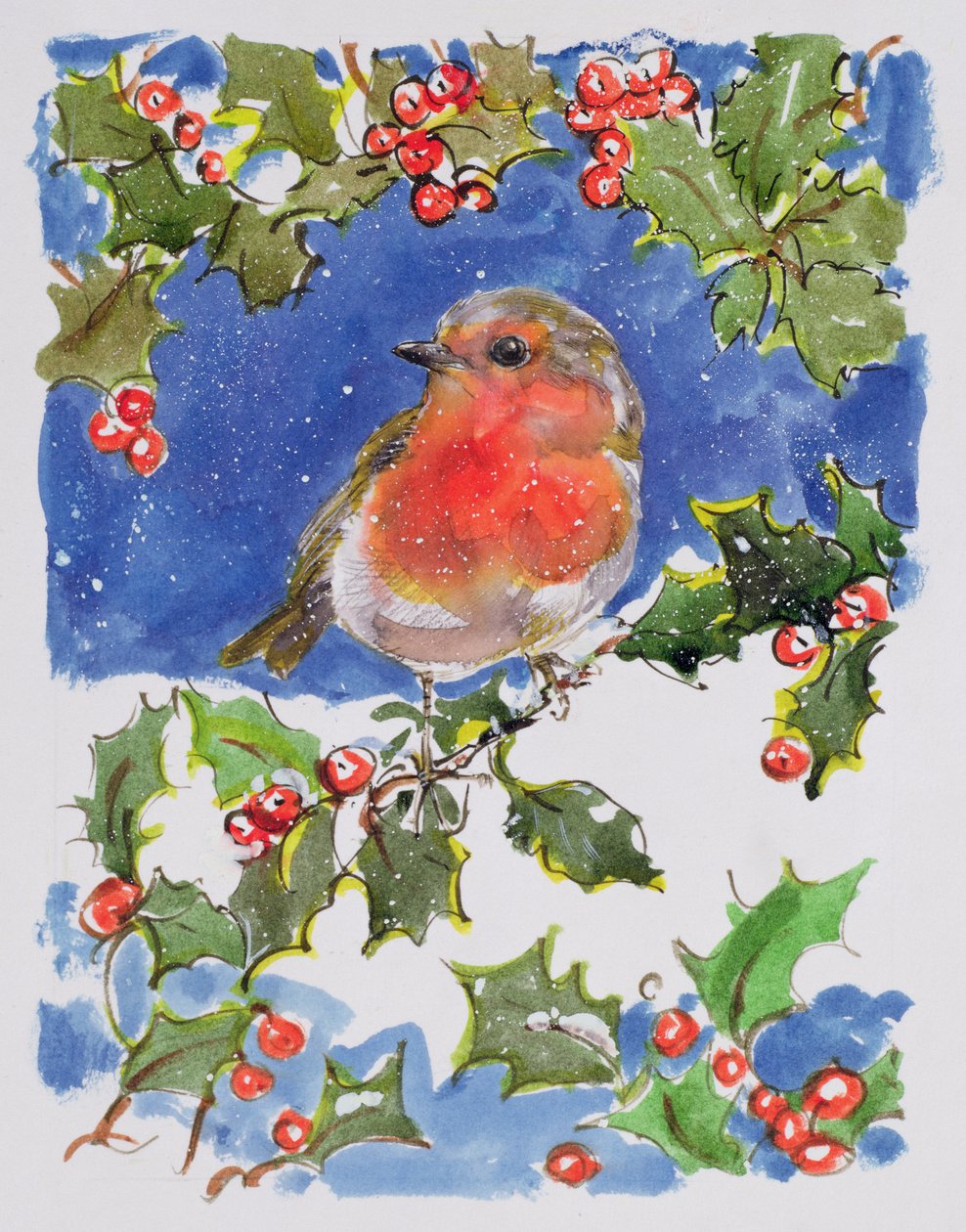 Vánoční Robin, 1996 (wc) od Diane Matthes