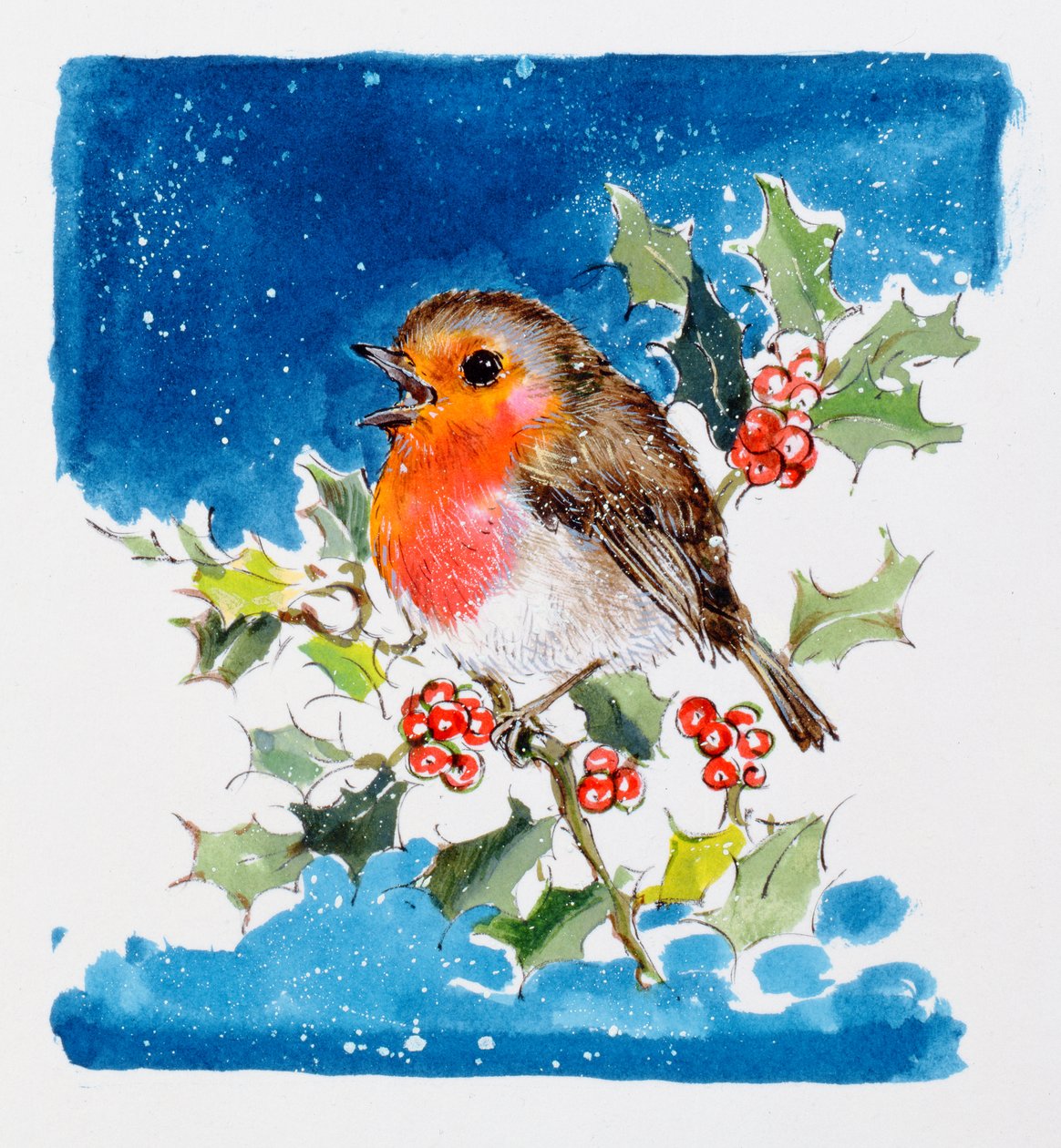 Robin Red-breast, 1996 (wc) od Diane Matthes