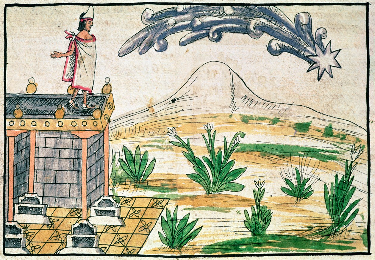Montezuma II (1466-1520) sleduje kometu, 1579 (vellum) od Diego Duran
