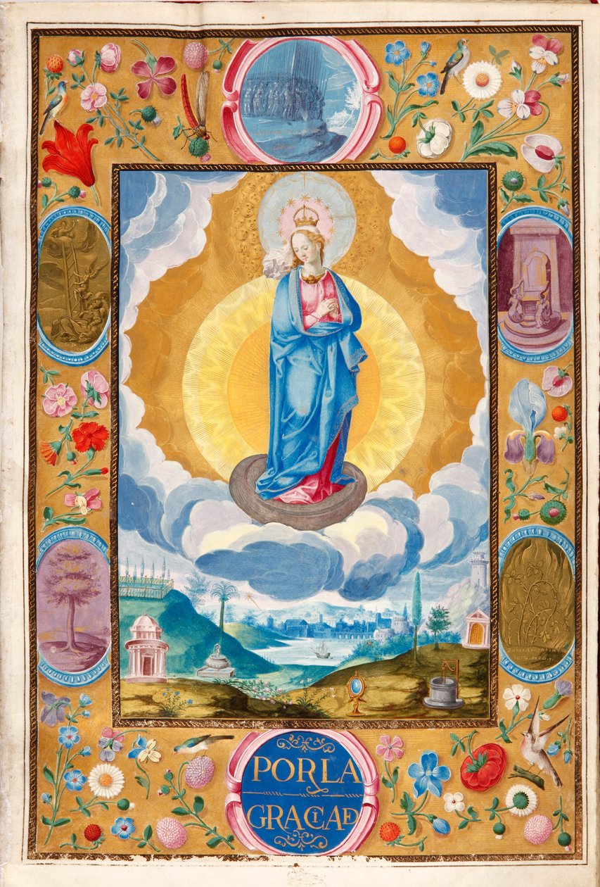Immacule Conception v Rytířské chartě Ariase Parda de Cela od Diego Gómez