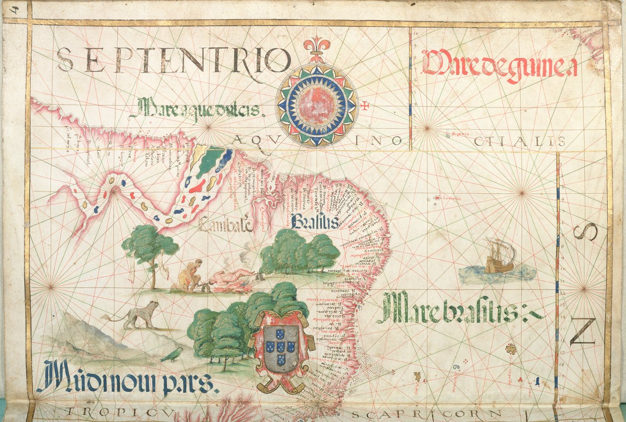 Ústa Amazonky, Brazílie, detail z atlasu světa, 1565 od Diego Homem