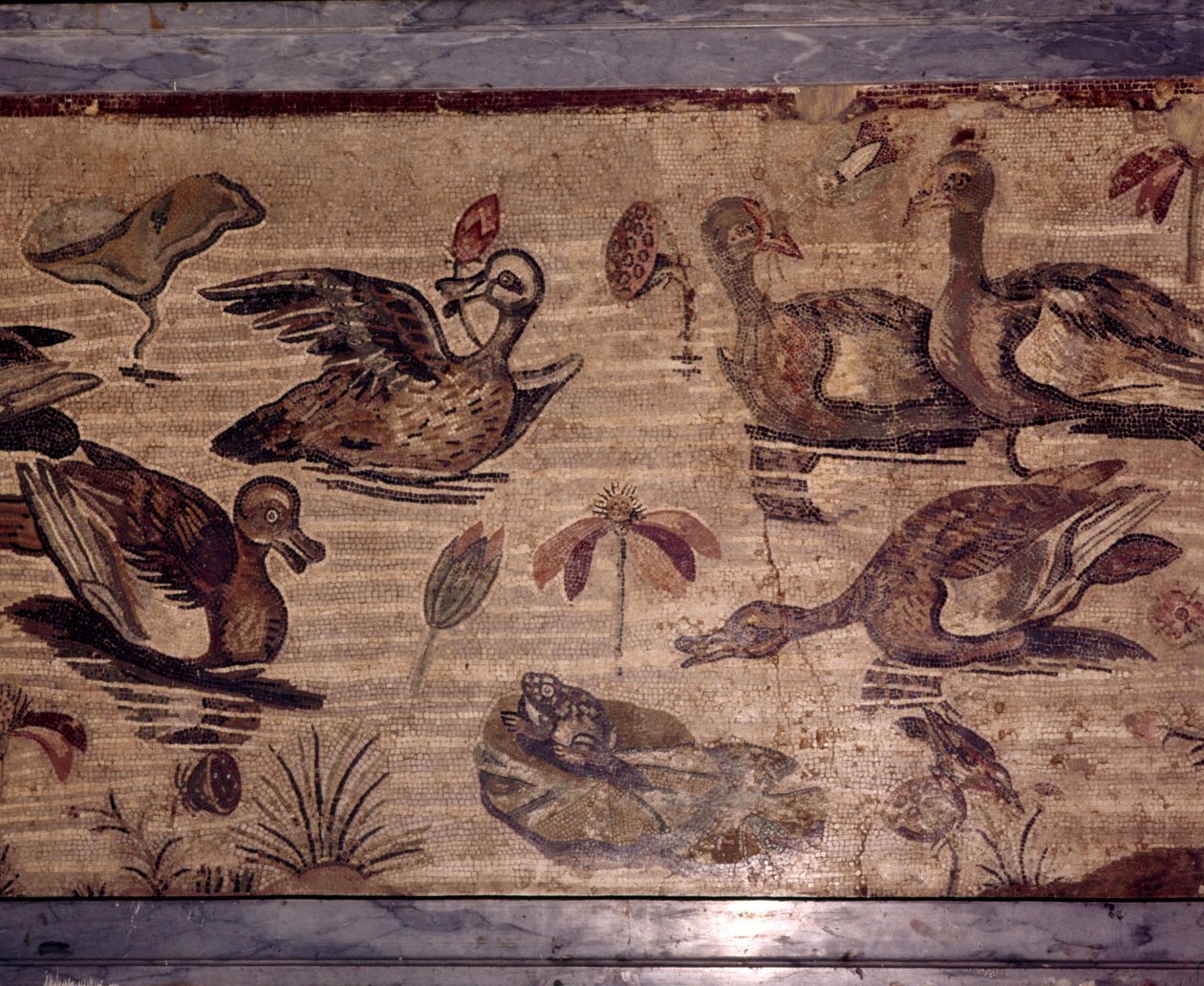 Římská mozaika z Pompejí kachen a žab ve vodní zahradě, 1. století od Dioscurides of Samos
