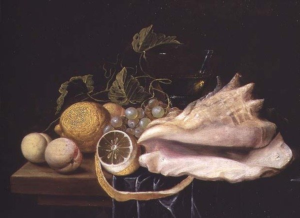 Zátiší s Strombus Shell and Fruit od Dirck Sauts
