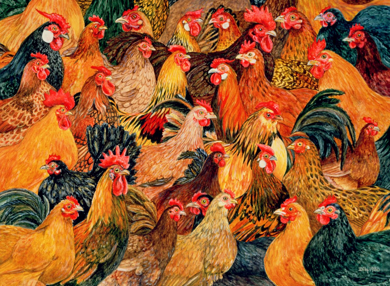 Fajn Fowl od Ditz