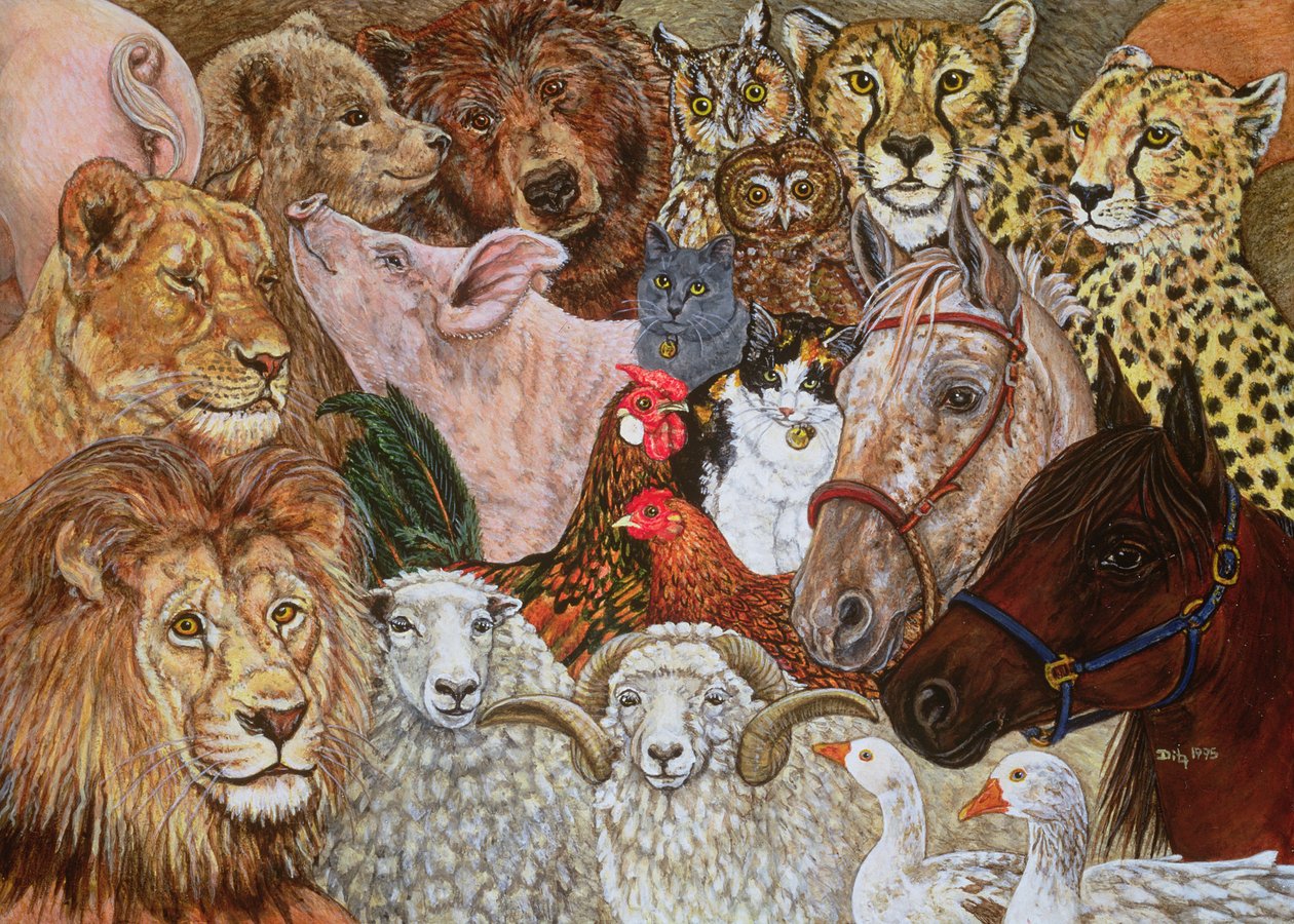 The Ark Spread, 1995 od Ditz