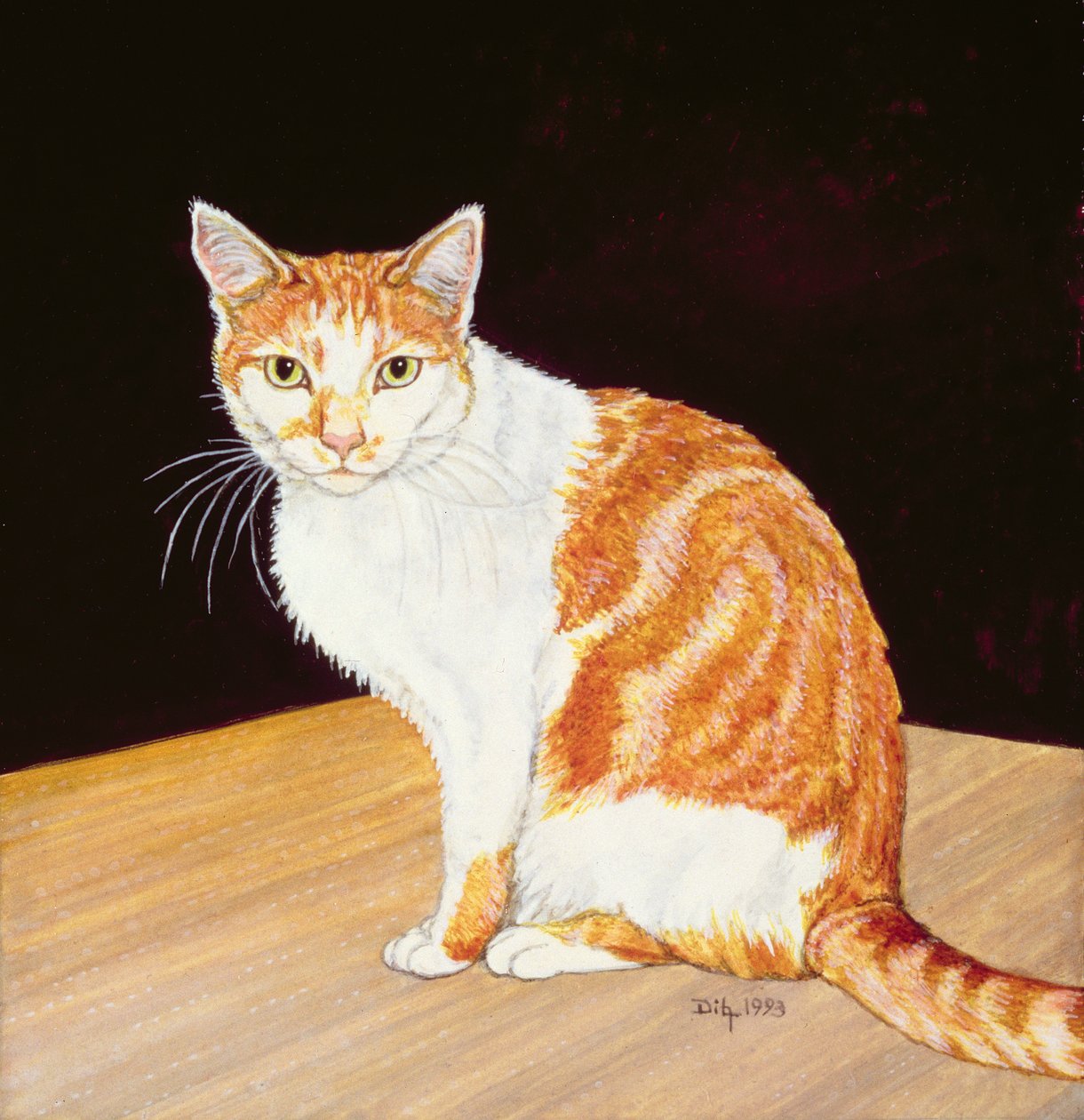 Thomas od Ditz