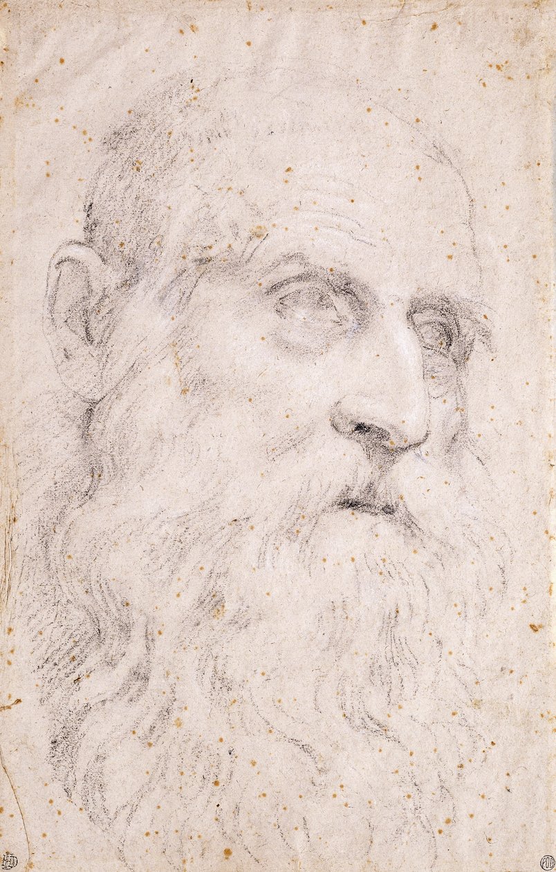 Hlava svatého Jeronýma od Domenichino