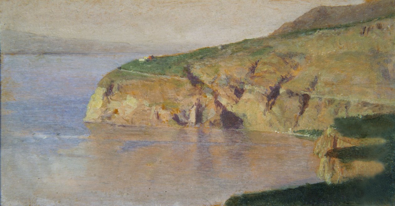 Sorrento Landscape (olej na dřevě) od Domenico Morelli