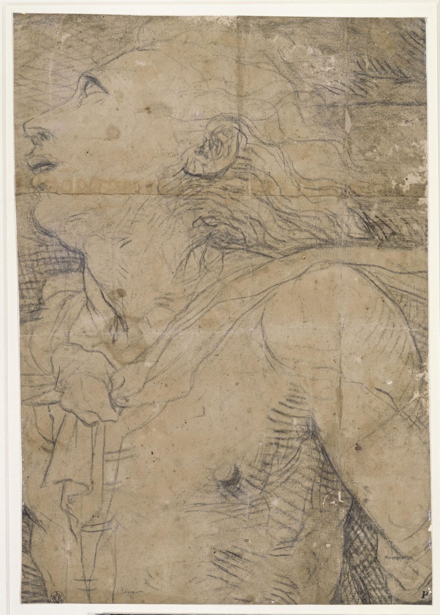 Mladík vzhlížející vzhůru (polopostava), fragment kartonu od Domenico Beccafumi