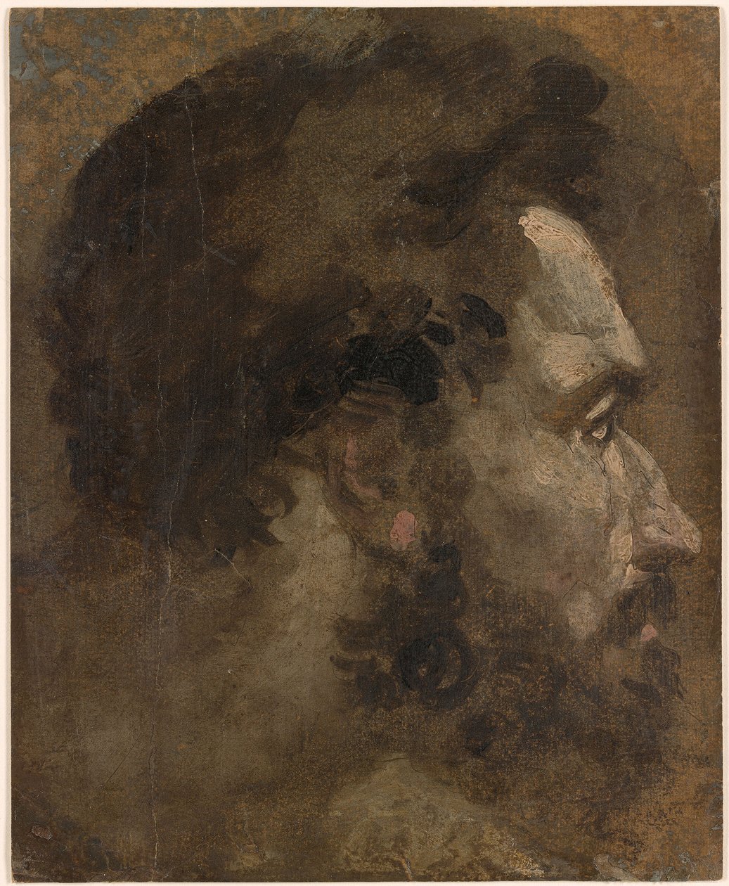 Beccafumi - Hlava vousatého muže z profilu vpravo, asi 1530-1535 od Domenico Beccafumi
