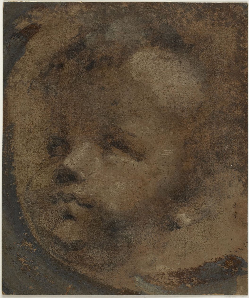 Hlava putta od Domenico Beccafumi