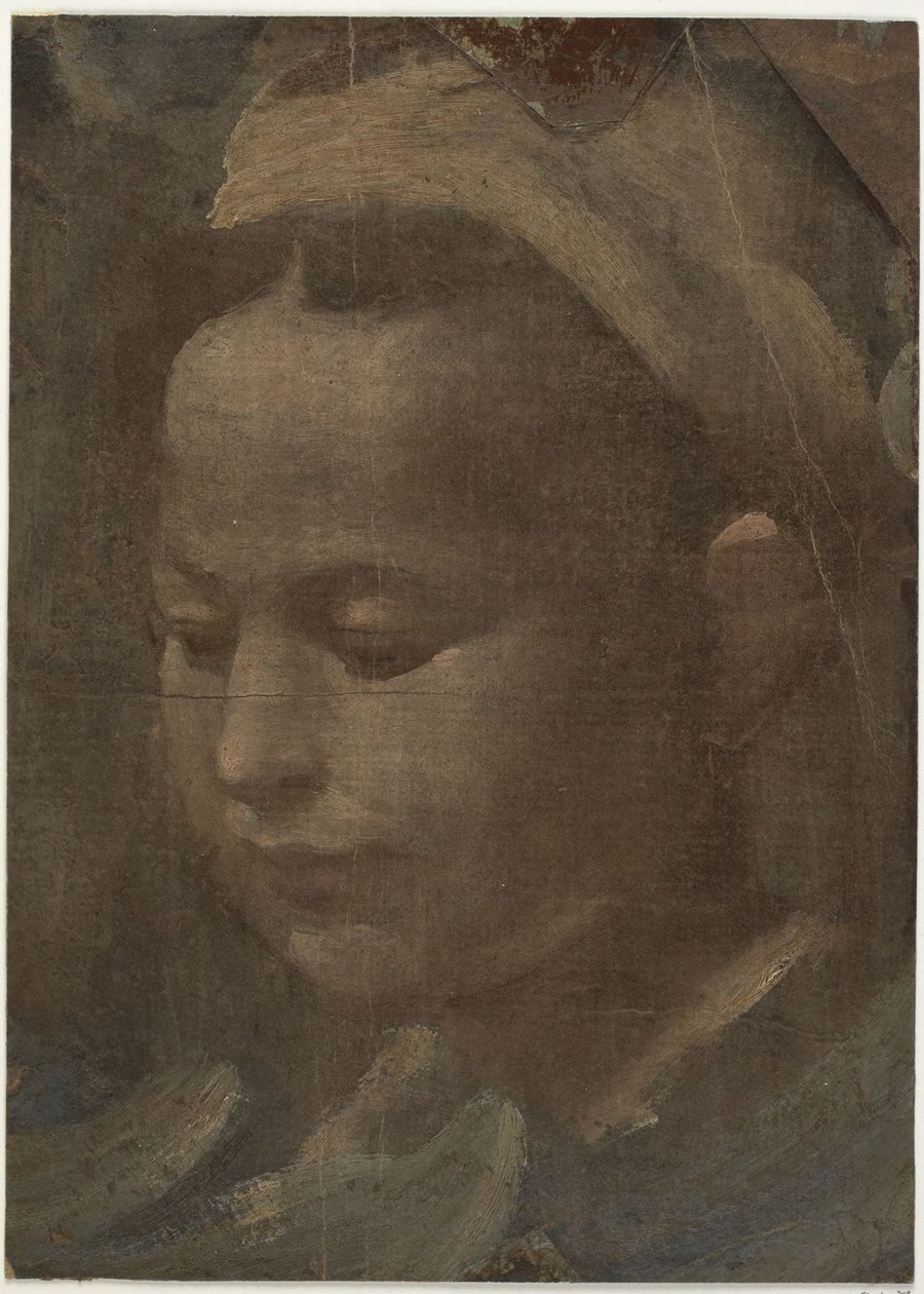 Hlava mladé ženy od Domenico Beccafumi