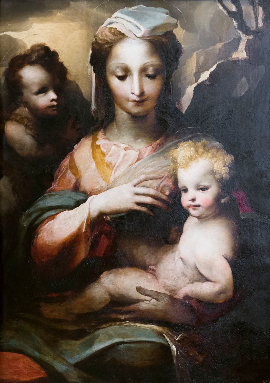 Madonna ja lapsi nuoren pyhimyksen Johannes Kastajan kanssa od Domenico Beccafumi