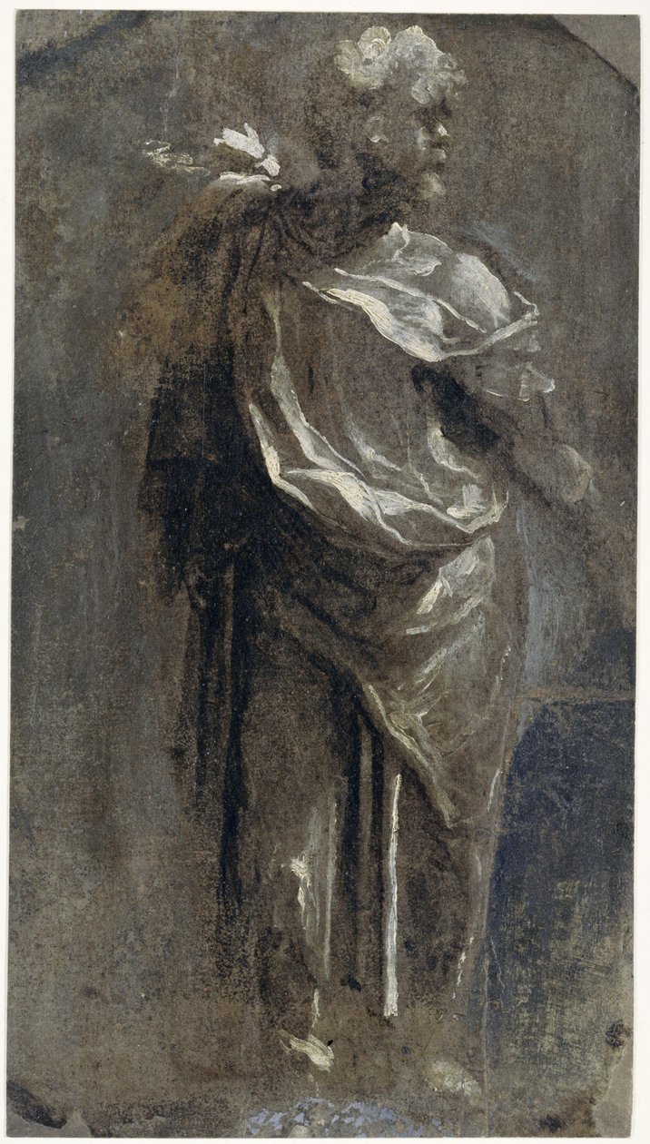 Publius Mutius od Domenico Beccafumi