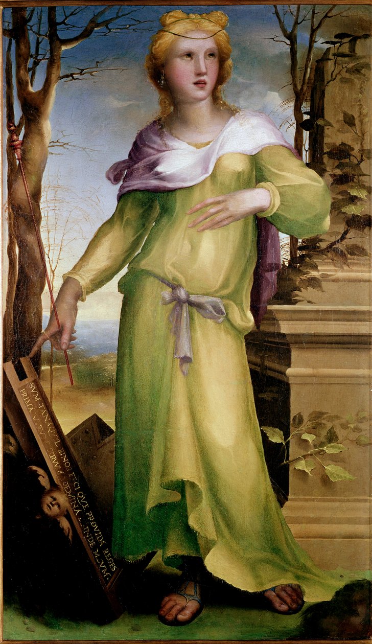 Tanaquil, manželka Tarquina staršího, římského krále. Po smrti svého manžela zajistila nástupnictví svého zetě Servia Tullia. Obraz Domenica Beccafumiho (1486-1551), cca 1519. Nápoj. Rozměr: 92 x 53 cm. Londýn, Národní galerie - Tanaqui od Domenico Beccafumi