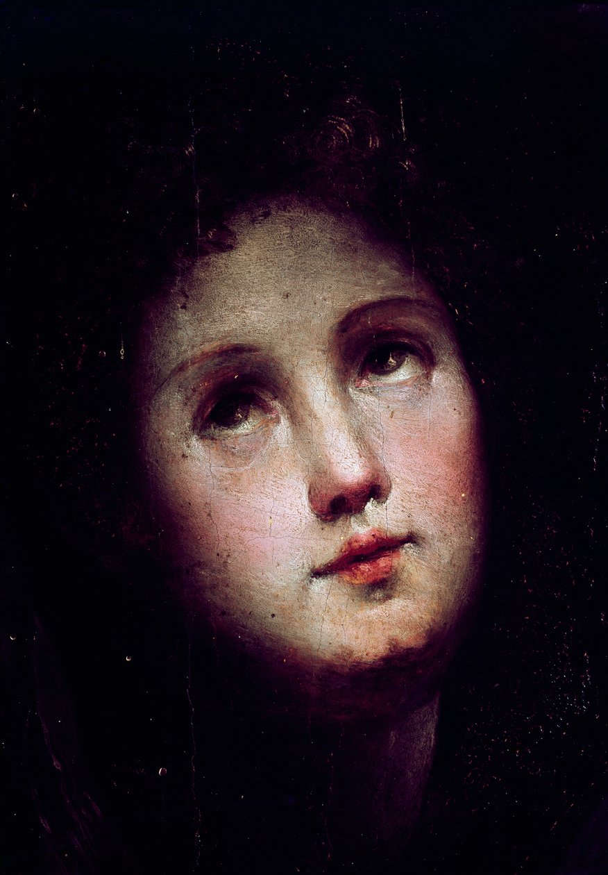 Sestup Krista do limba. Detail tváře mladého muže se noří do tmy (tmy) a dívá se směrem k obloze. Obraz Domenica Beccafumiho (1486-1551) od Domenico Beccafumi