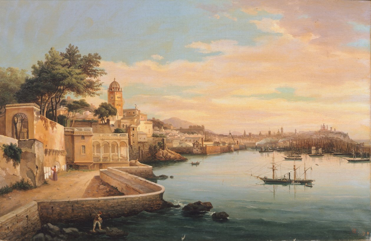Pohled na Janov ze zahrad Palazzo Doria Pamphilj, od Pasquale Domenico Cambiaso (1811-1894), Itálie od Domenico Cambiaso