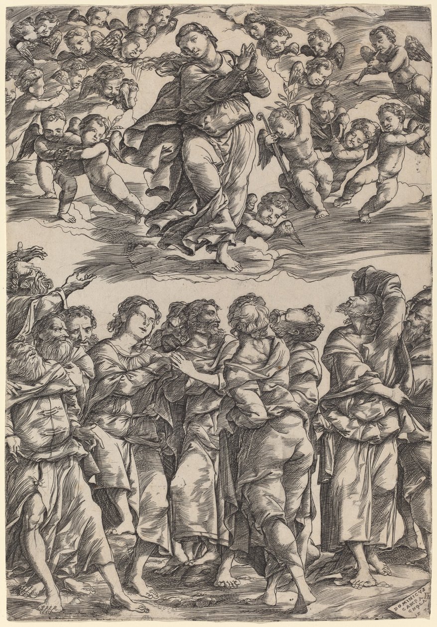 Nanebevzetí Panny Marie od Domenico Campagnola